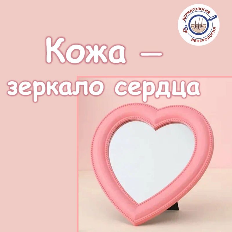 В рамках Недели здоровья сердца делимся важным: кожные симптомы могут быть первыми «звоночками» сердечно-сосудистых проблем
