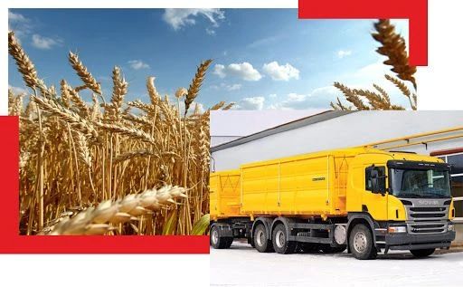 Готовы ли ваши грузоперевозки к 1 сентября? Разбираем с ФНС и Ространснадзором