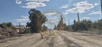 На трассе возле Волнухино затруднён проезд