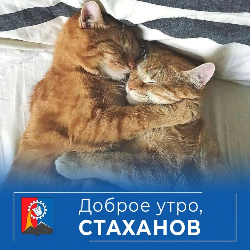 Доброе утро, родной город!