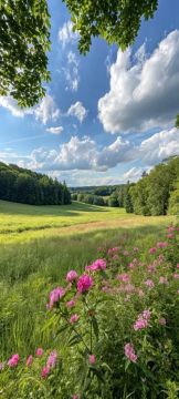 � ������ �����, ������� ������ �������������� �������������� ������!