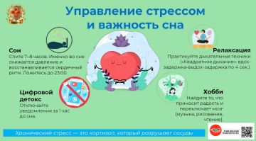 ������ ������������ ��������-���������� �����������: ��������� �������� � ���������� ���!