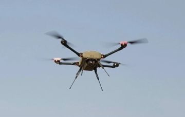 ������ ����� ������: ��� ������?