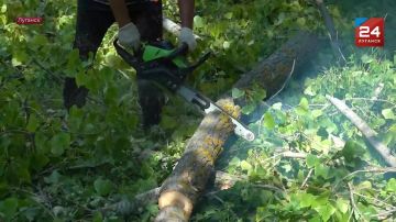 Горки, качели и даже тренажёры: в Луганском квартале Солнечный возводят детскую площадку