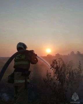На минувших выходных спасатели МЧС России ликвидировали в ЛНР 51 пожар, 42 из них – ландшафтные