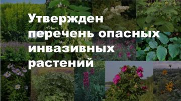 � ��� ���������� �������� ������� ������ ��������-����������