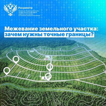 Межевание земельного участка: зачем нужны точные границы?