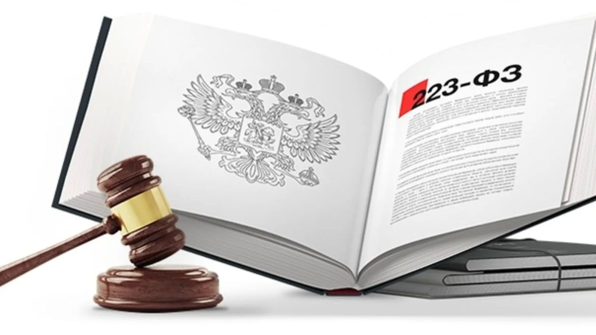 Чем руководствоваться заказчикам по Закону № 223-ФЗ при определении конкретной меры нацрежима, применяемой при проведении закупки?