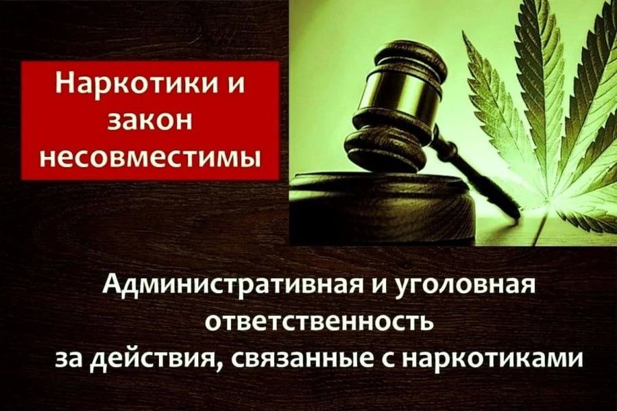 Детям о вреде наркотиков. Курение и алкоголизм очень опасны для человека.Но ещё более сильно действуют на организм человека наркотические вещества.В дом, где появляются наркоманы, всегда приходит страшная беда