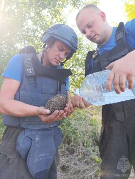 БЕССТРАШНЫЕ МУЖЧИНЫ С БОЛЬШИМ И ЧУТКИМ СЕРДЦЕМ