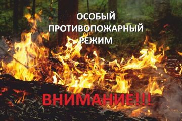 ����������, ��� �� ���������� ��� ��������� ������ ��������������� �����, ������� ���������� ���������������� � ��������� ��������������� ��� �����������