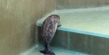 � �������� �������� ������ ��������� ������� ������, �� ������ ������ � ����� ������ ����������