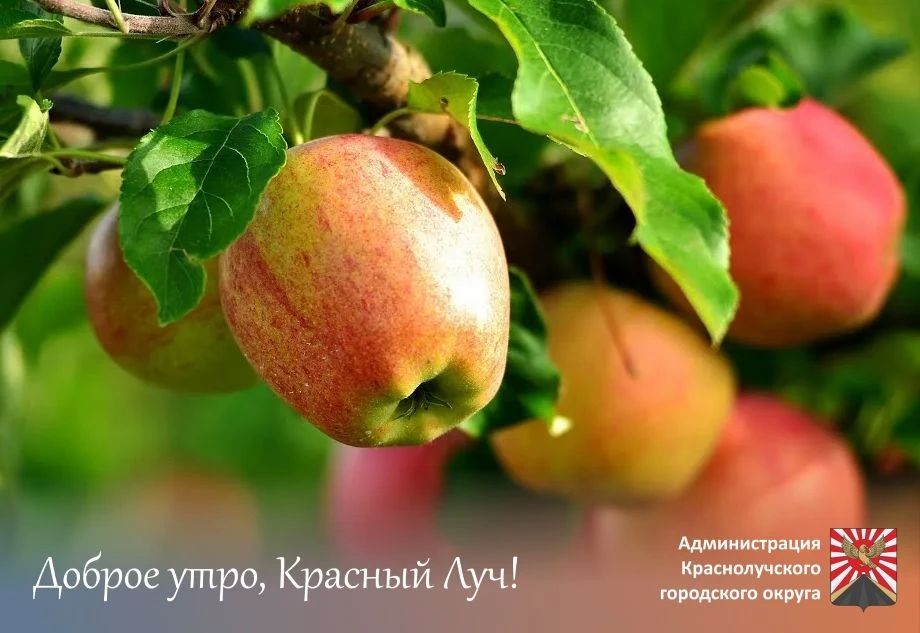 Доброе утро, краснолучане и гости города!