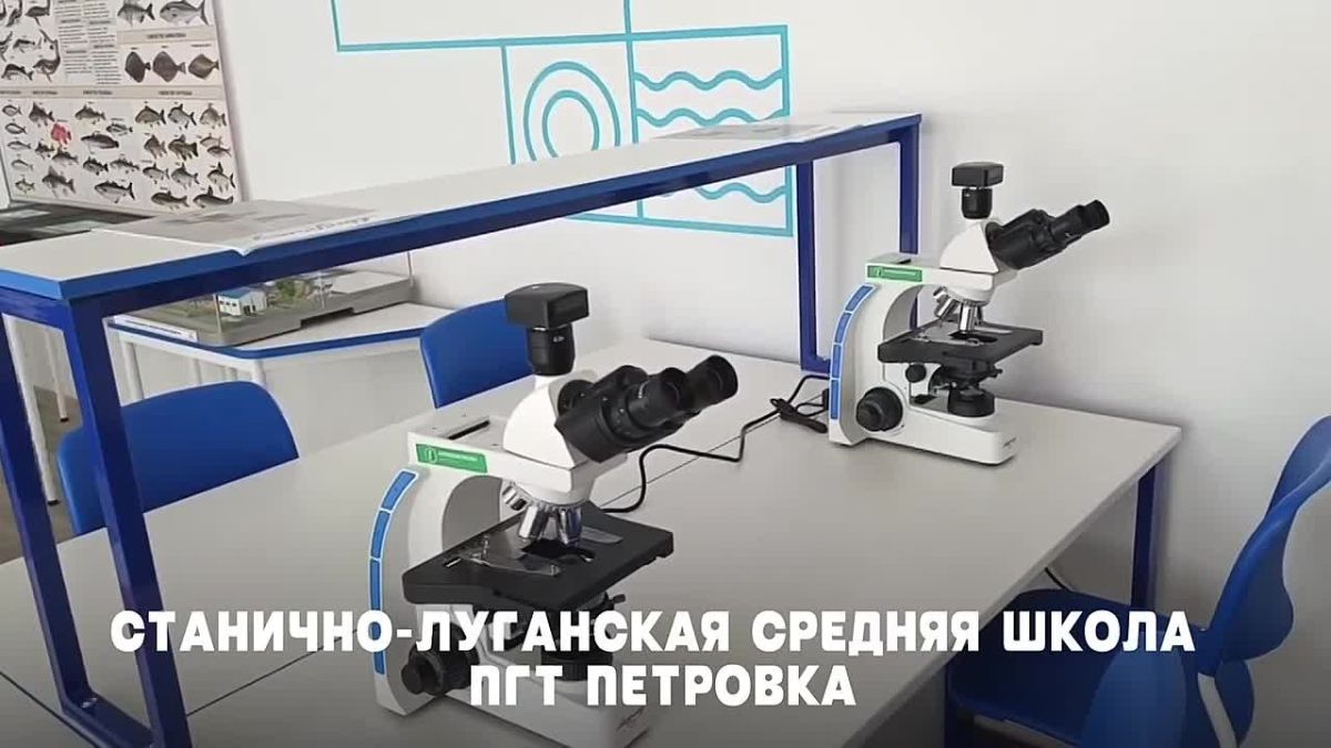 От школьного класса – к будущей профессии