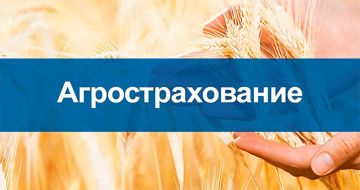 Комплексная страховая защита агробизнеса: животные, урожай, спецтехника