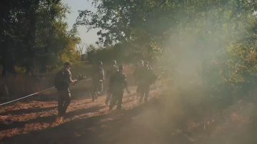 В Волгограде завершился отборочный этап II Всероссийских соревнований «Путь ВОИНа» и смена «Время юных героев», собравшие более 200 курсантов из разных уголков России