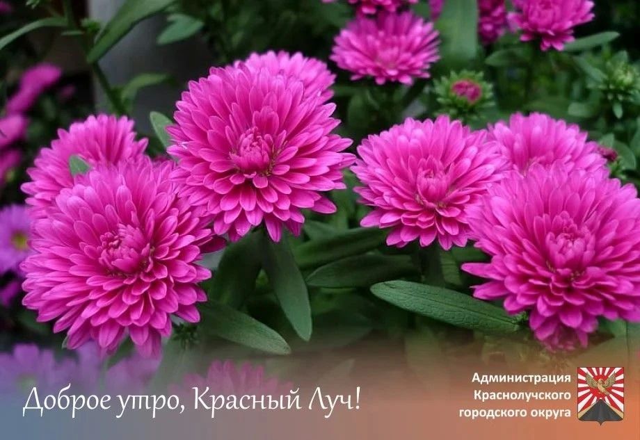 Доброе утро, краснолучане и гости города!