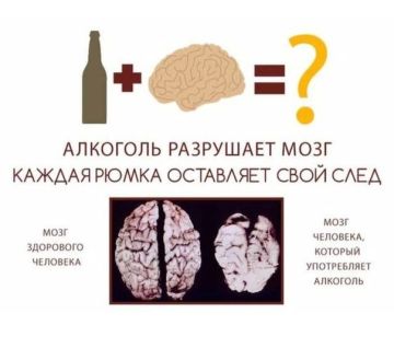 �������� � ����: ��� �������� ��������� ��� �����