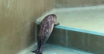 ��������� ������� ������ �� ������: