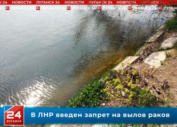 С 20 августа в Республике запрещено ловить раков