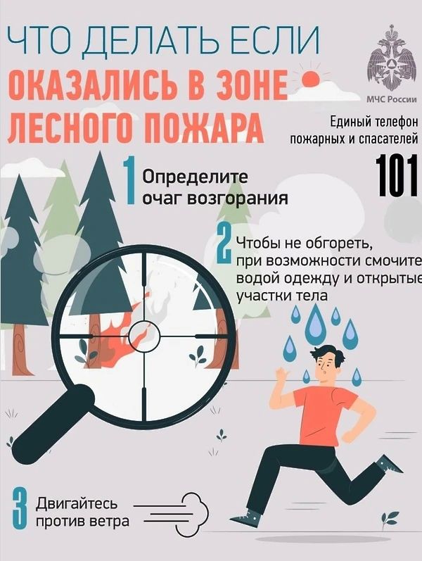 В ГУ МЧС России по ЛНР предупреждают о чрезвычайной пожароопасности в северо-западных и западных районах региона