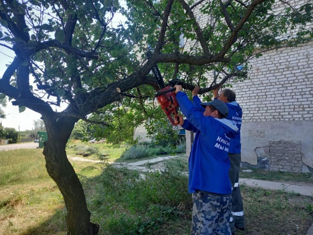 Волонтёры спилили разросшееся дерево во дворе участника СВО
