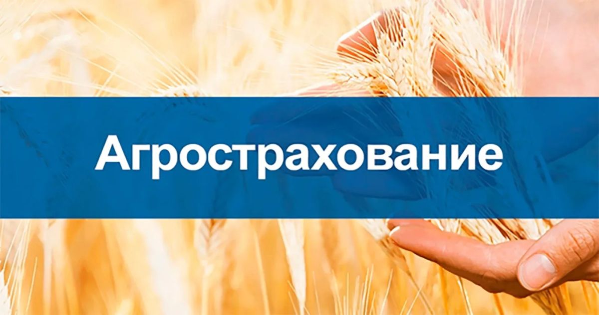 Приглашаем на онлайнконференцию