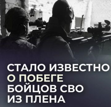 Двое бойцов СВО могли сбежать из украинского плена