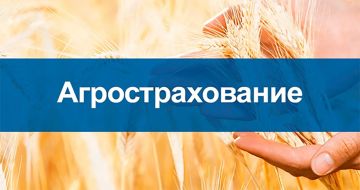Приглашаем на онлайнконференцию
