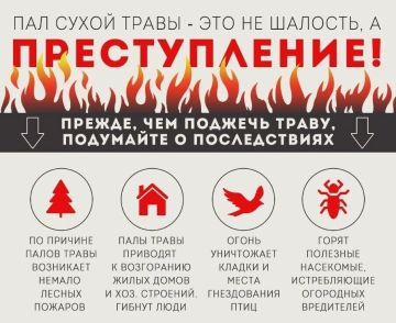 Внимание! В Луганской Народной Республике с 1 апреля по 31 октября 2026 года действует особый противопожарный режим