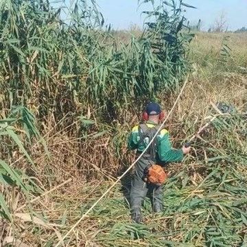 �������� ������: ����������� ��� ����� "���������������" � ������ ����������������� ����������� ��������� ������ �� ������ ����� �� ����� ������� � ������������