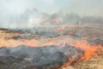 Ландшафтные пожары!. Сухая погода и длительное отсутствие осадков создают благоприятные условия для распространения огня