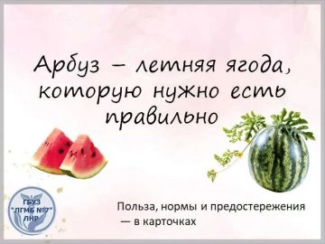 Арбуз — главная летняя ягода