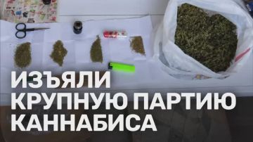 У местного жителя из Алчевска нашли 133 грамма марихуаны