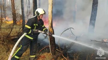 За прошедшие сутки в ЛНР ликвидировали 27 пожаров, спасли одного человека