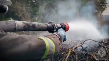 54 ����������� ������ ��������� � ���������� �� ��������