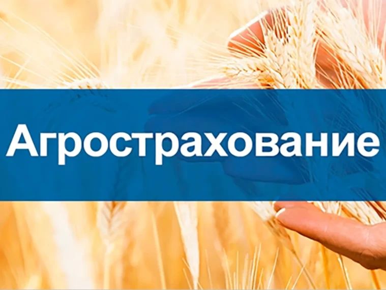 Приглашаем на онлайнконференцию