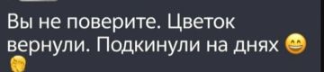 Украденные с клумбы цветы в Северодонецке вернули