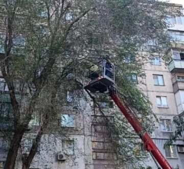 Коммунальными службами проведены работы на территории города