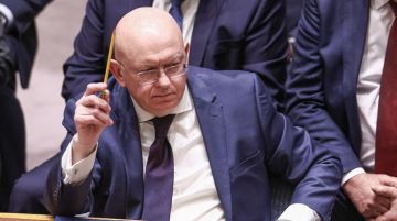 Киевский режим окончательно скатился до откровенного террора против мирного населения России, заявил постпред РФ при ООН Василий Небензя