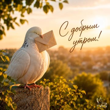 � ������ �����! ����� ����� ���� ������� �����������, ����� ������� � ������� �������, ������� ��������� �������� ������