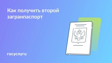 У вас может быть два загранпаспорта одновременно
