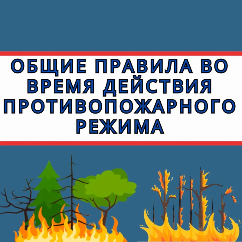 Один окурок. Одна искра. Один костер, который «вроде бы потушили»