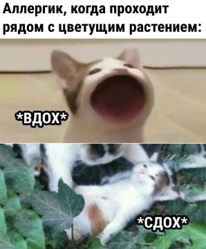 �������� � ��� �����. ������� �������