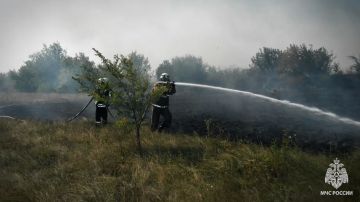 И вновь продолжается бой с пожарами в экосистеме