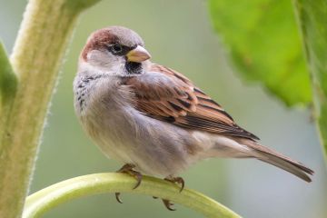 � ��� ����������� �������� � ��������� 1014 ����