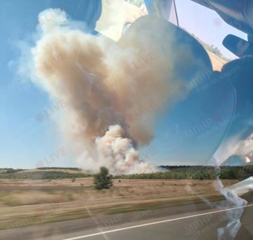В районе села Комиссаровка произошёл пожар