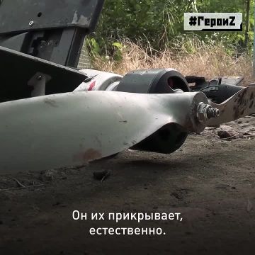������� ��������� � ���� ��� ��� ���� ���������� �������� �� �� ����� ����, � �� ��������� �������������: ������-����, ������� � ������ �������� ������