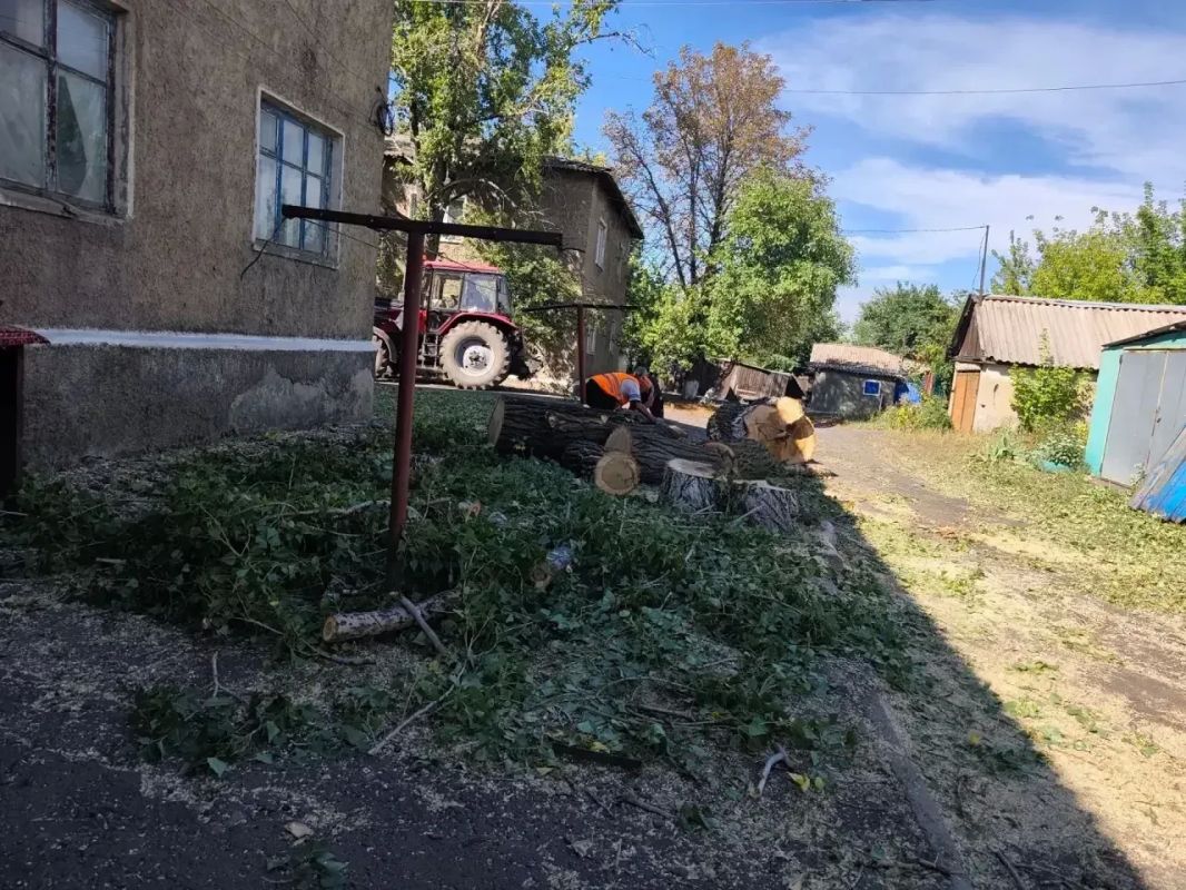 Безопасность жителей — в приоритете: в пгт Кленовый удалили аварийное дерево