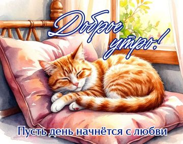 ������� ����������� � 31 �������